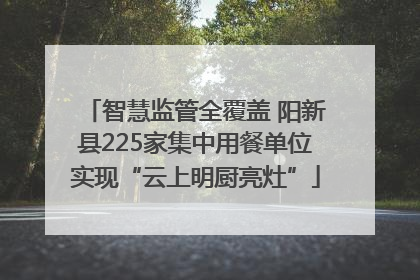 智慧监管全覆盖 阳新县225家集中用餐单位实现“云上明厨亮灶”