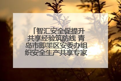 智汇安全促提升 共享经验筑防线 青岛市即墨区安委办组织安全生产共享专家现场观摩学习活动