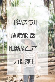 智造与开放赋能 岳阳新质生产力提速