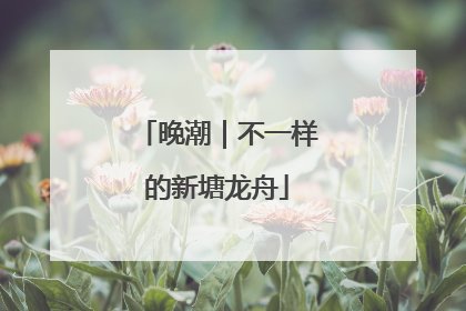 晚潮｜不一样的新塘龙舟