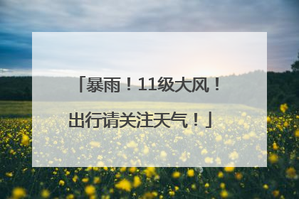 暴雨！11级大风！出行请关注天气！