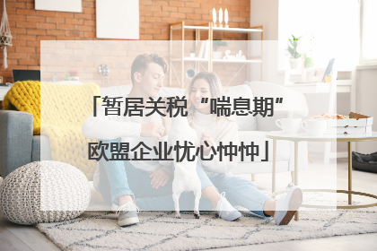 暂居关税“喘息期” 欧盟企业忧心忡忡