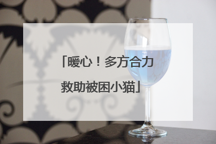 暖心！多方合力救助被困小猫