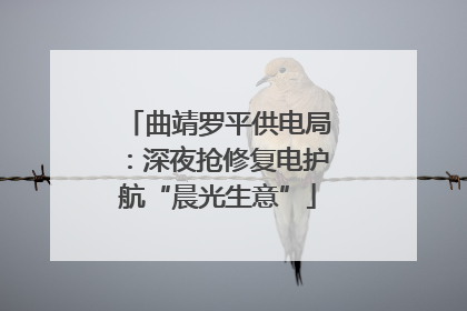 曲靖罗平供电局：深夜抢修复电护航“晨光生意”