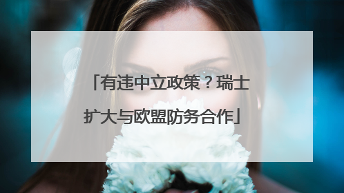 有违中立政策？瑞士扩大与欧盟防务合作