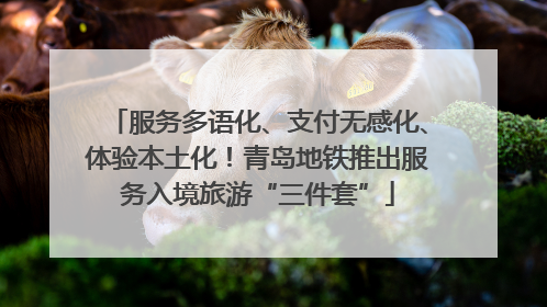 服务多语化、支付无感化、体验本土化！青岛地铁推出服务入境旅游“三件套”