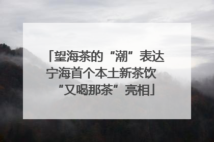 望海茶的“潮”表达 宁海首个本土新茶饮“又喝那茶”亮相