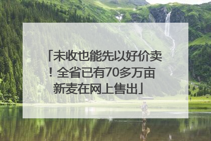 未收也能先以好价卖！全省已有70多万亩新麦在网上售出
