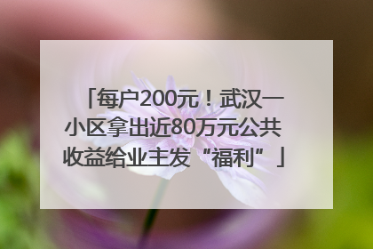 每户200元！武汉一小区拿出近80万元公共收益给业主发“福利”