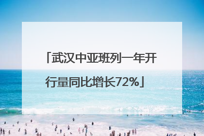 武汉中亚班列一年开行量同比增长72%