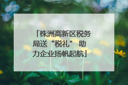 株洲高新区税务局送“税礼” 助力企业扬帆起航