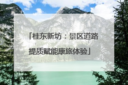 桂东新坊：景区道路提质赋能康旅体验