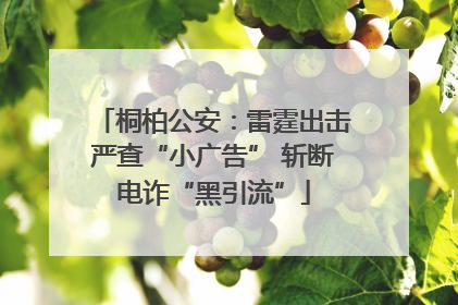 桐柏公安：雷霆出击严查“小广告” 斩断电诈“黑引流”