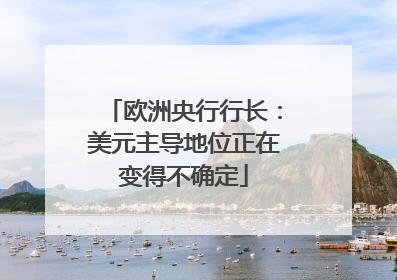 欧洲央行行长：美元主导地位正在变得不确定