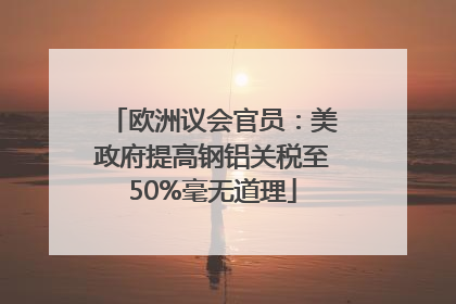 欧洲议会官员：美政府提高钢铝关税至50%毫无道理