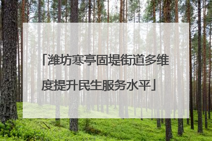 潍坊寒亭固堤街道多维度提升民生服务水平