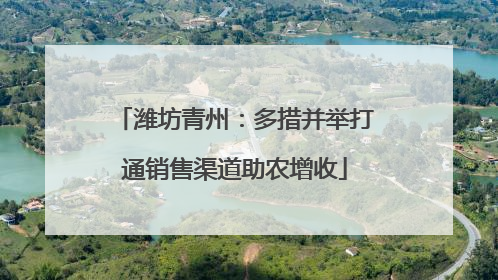 潍坊青州：多措并举打通销售渠道助农增收