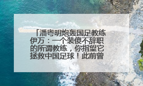 潘粤明炮轰国足教练伊万：一个装傻不辞职的所谓教练，你指望它拯救中国足球！此前曾多次发文评价国足