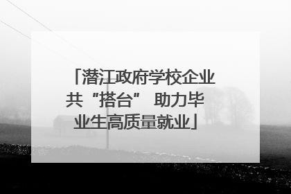 潜江政府学校企业共“搭台” 助力毕业生高质量就业