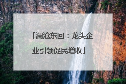 澜沧东回：龙头企业引领促民增收