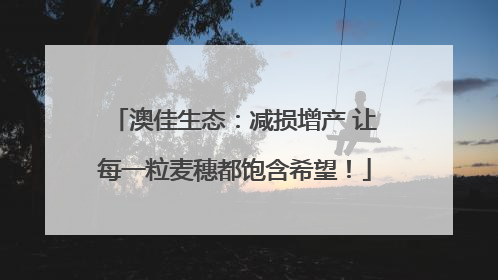 澳佳生态：减损增产 让每一粒麦穗都饱含希望！