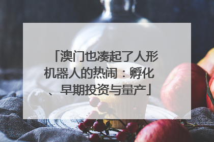 澳门也凑起了人形机器人的热闹：孵化、早期投资与量产