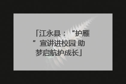 江永县：“护雁”宣讲进校园 助梦启航护成长