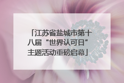 江苏省盐城市第十八届“世界认可日”主题活动重磅启幕