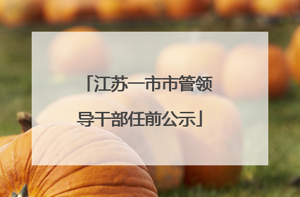 江苏一市市管领导干部任前公示