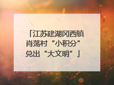 江苏建湖冈西镇肖荡村“小积分”兑出“大文明”