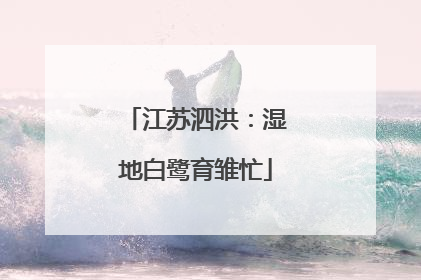 江苏泗洪：湿地白鹭育雏忙