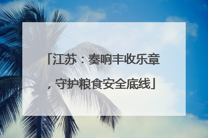 江苏：奏响丰收乐章，守护粮食安全底线