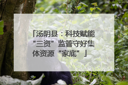 汤阴县：科技赋能“三资”监管守好集体资源“家底”