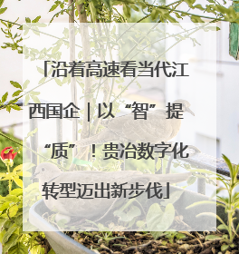 沿着高速看当代江西国企｜以“智”提“质”！贵冶数字化转型迈出新步伐