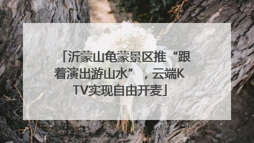 沂蒙山龟蒙景区推“跟着演出游山水”，云端KTV实现自由开麦