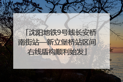 沈阳地铁9号线长安桥南街站—新立堡桥站区间右线盾构顺利始发