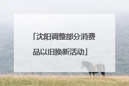 沈阳调整部分消费品以旧换新活动