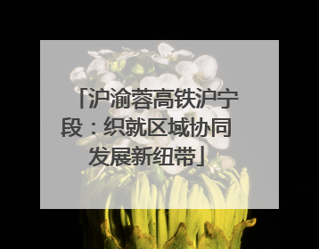 沪渝蓉高铁沪宁段：织就区域协同发展新纽带