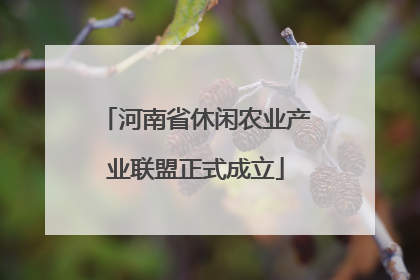 河南省休闲农业产业联盟正式成立