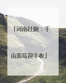 河南社旗：千亩蓝莓迎丰收