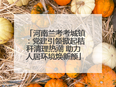 河南兰考考城镇：党建引领掀起秸秆清理热潮 助力人居环境焕新颜