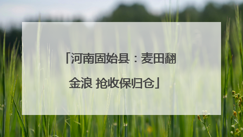 河南固始县：麦田翻金浪 抢收保归仓