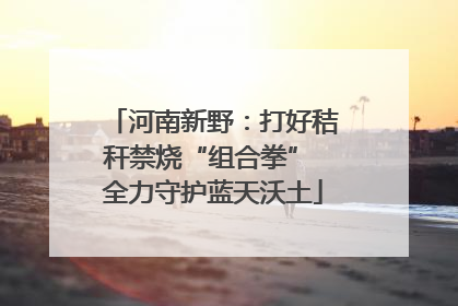 河南新野：打好秸秆禁烧“组合拳” 全力守护蓝天沃土