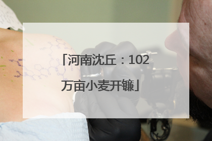 河南沈丘：102 万亩小麦开镰