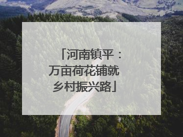 河南镇平：万亩荷花铺就乡村振兴路