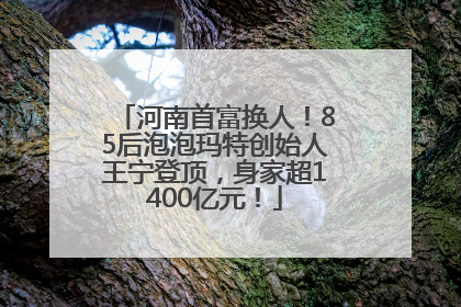 河南首富换人！85后泡泡玛特创始人王宁登顶，身家超1400亿元！