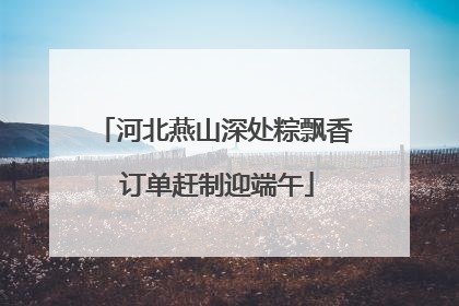 河北燕山深处粽飘香 订单赶制迎端午