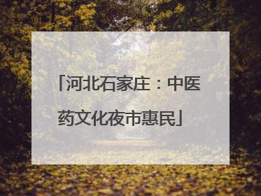 河北石家庄：中医药文化夜市惠民