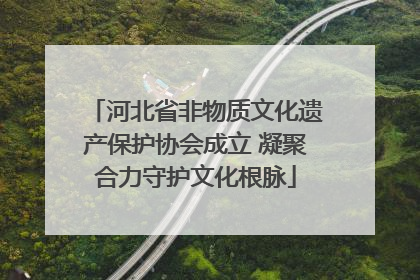 河北省非物质文化遗产保护协会成立 凝聚合力守护文化根脉