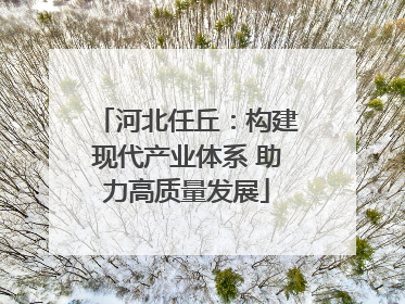 河北任丘：构建现代产业体系 助力高质量发展
